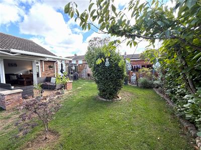 Picture 19